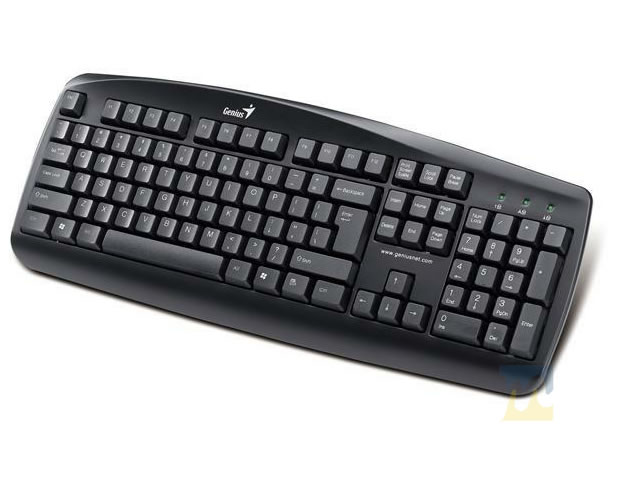 Teclado Genius KB-110X Espaol Keyboard USB Negro