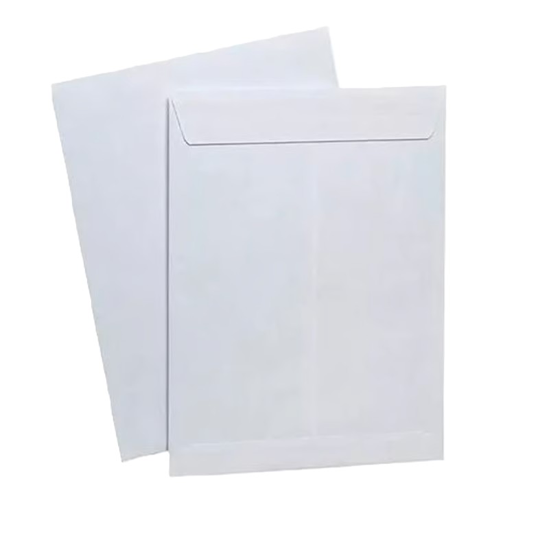 Ver Información de Sobre Blanco t/carta en MegaOffice.com.ve